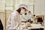 Серия Rx Micro Кусачки с узкой головкой LINDSTROM RX8234 — фото 14